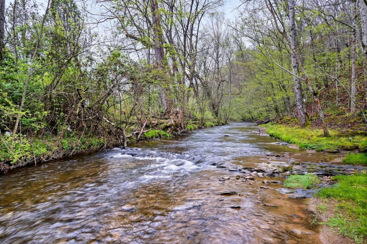 1 Mile To Pkwy, Pets, Hot Tub, Creekside, Porch Villa Pigeon Forge Bagian luar foto