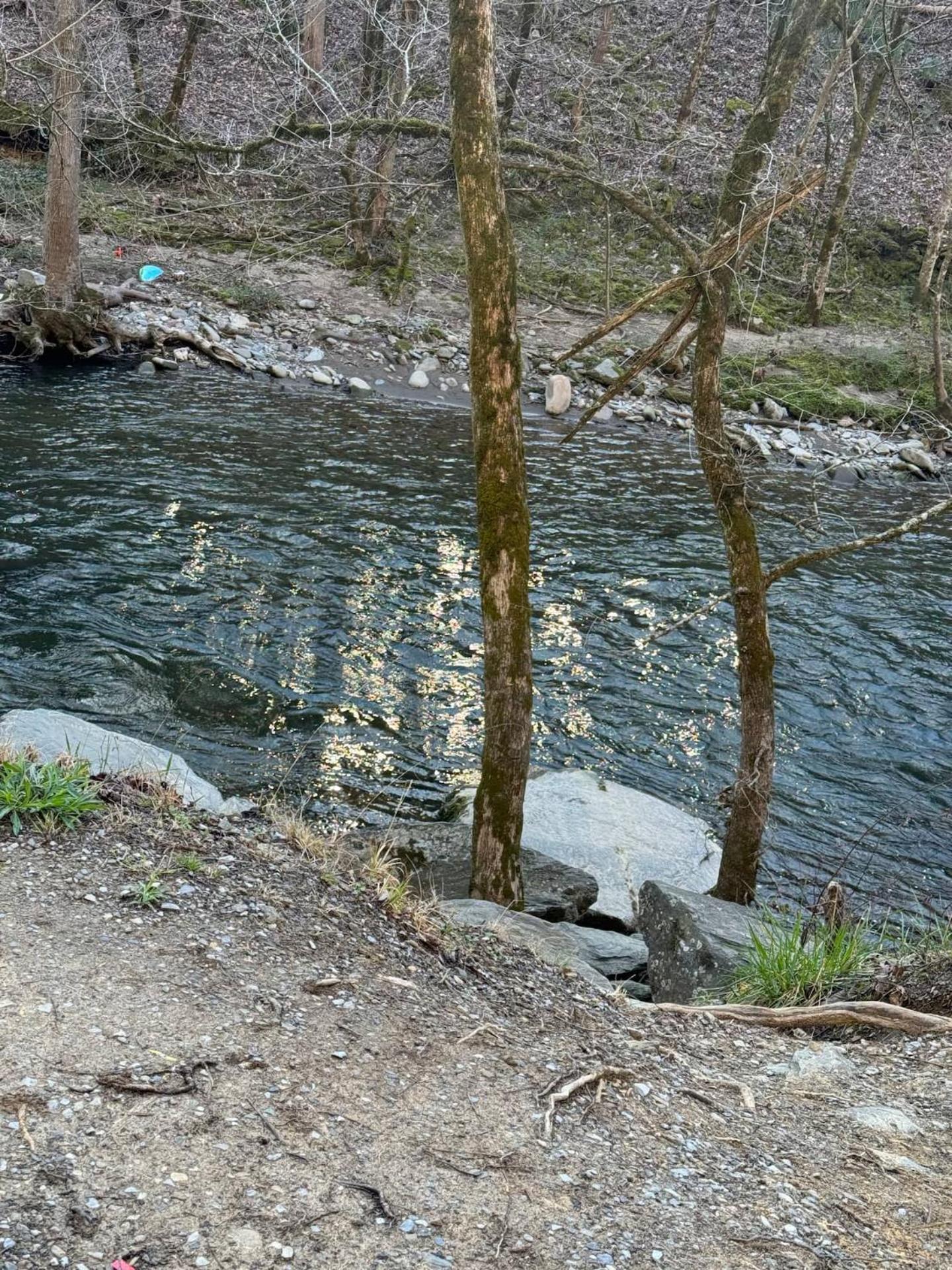 1 Mile To Pkwy, Pets, Hot Tub, Creekside, Porch Villa Pigeon Forge Bagian luar foto